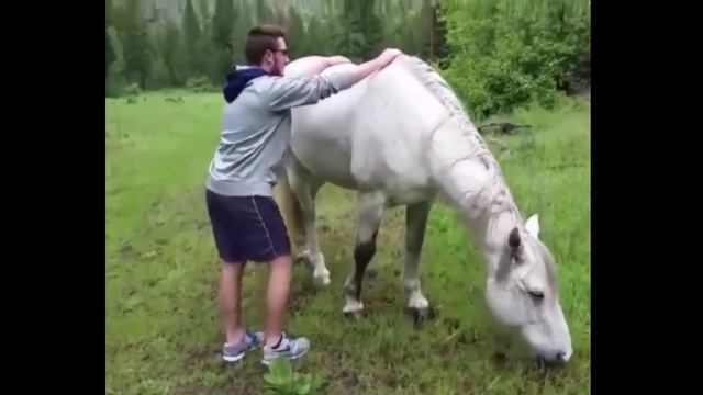 НОВЫЙ ОТЖИГ от ТАНЦУЮЩИХ С ГРОБОМ | DANCE WITH US смотреть онлайн