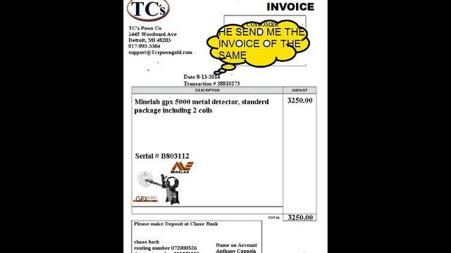 Buy a Minelab gpx 5000 on cheap rates SCAM смотреть онлайн