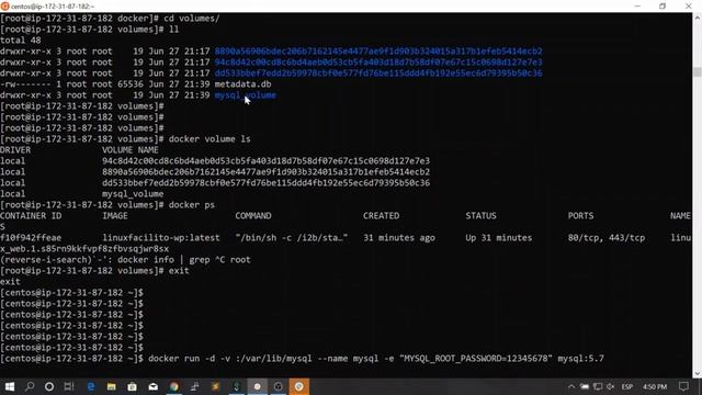 60. Normal Volumes Manage your volumes with the Docker CLI || Docker, From Zero To Hero смотреть онлайн