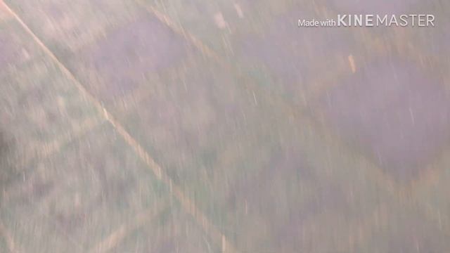 Паркур.попробую повтори смотреть онлайн