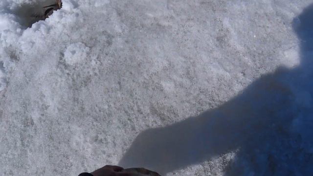 Ловля Окуня , по хрупкому льду ! Закрытие зимнего сезона ! смотреть онлайн