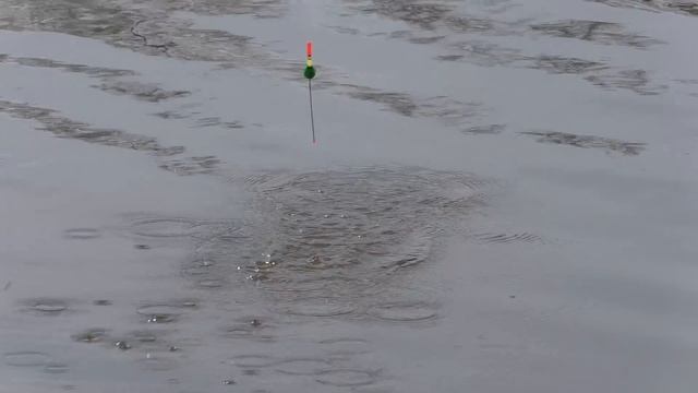 рыбалка 2023 на поплавок КРУПНЫМ ПЛАНОМ, ловля плотвы весной смотреть онлайн