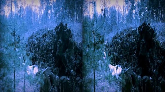 весенний лес 3д смотреть онлайн