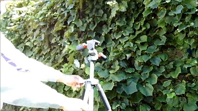 Tripod Fancier FT 6307A - Profesyonel Tripod