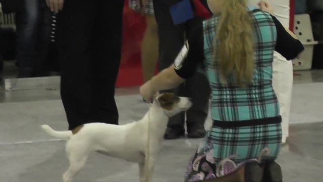 GERMIONA VIP смотреть онлайн