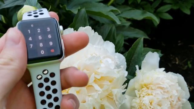 Обзор Apple Watch Series 3 Nike+