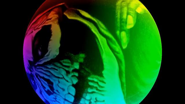 Vespero-Liventure № 8, Part 2 смотреть онлайн