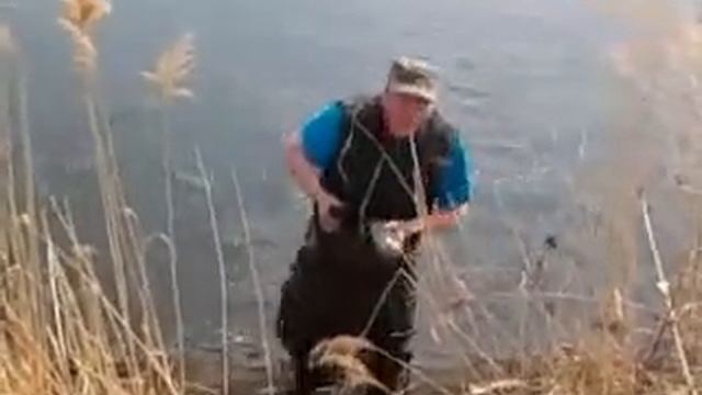 Охота на бобра!