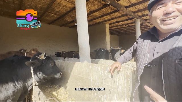 Qashqadaryo Chandir Qishlog‘i Turkmanlar 2 Qism.Туркмены села Чандыр Кашкадарьинской Области 2 част