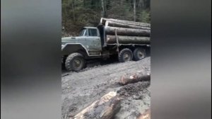 Зил 131.Лесовозы.Добыча леса. Бездорожье.