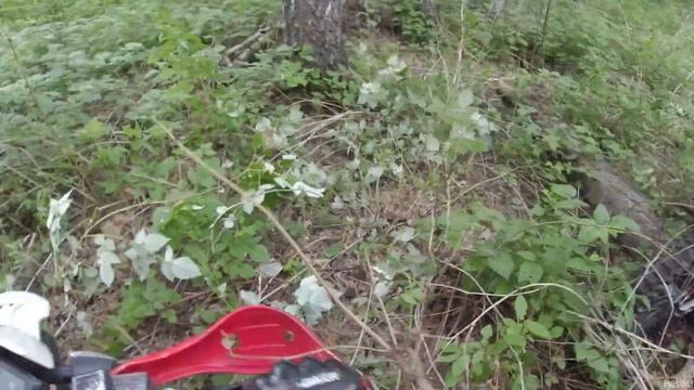 ЭНДУРО ГОНКА КУРГАН КУБОК Z ЛАЙТ смотреть онлайн