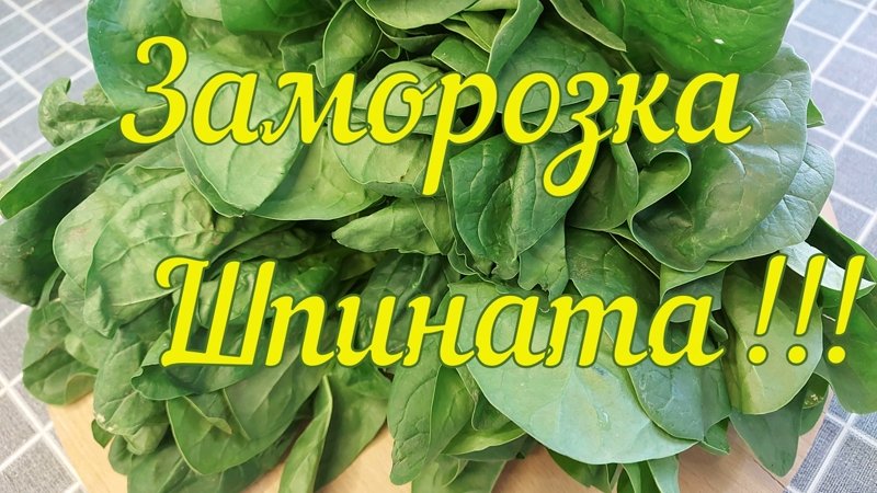 ЗАМОРОЗКА ШПИНАТА НА ЗИМУ***ЗАГОТОВКА ВИТАМИНОВ ***ПРАКТИЧНО И ЭКОНОМИЧНО ! смотреть онлайн