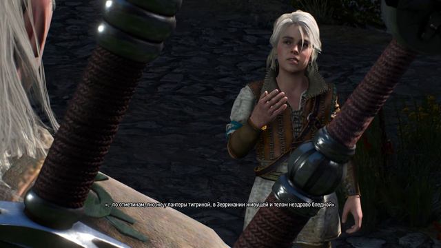 ПРОХОЖДЕНИЯ THE WITCHER 3 : ЧАСТЬ 1- ПОИСК ДЕВУШКИ! ВСТРЕЧА С ГРИФОНОМ И ПУТИШЕСТВИЯ НА ПЛОТВЕ) смотреть онлайн