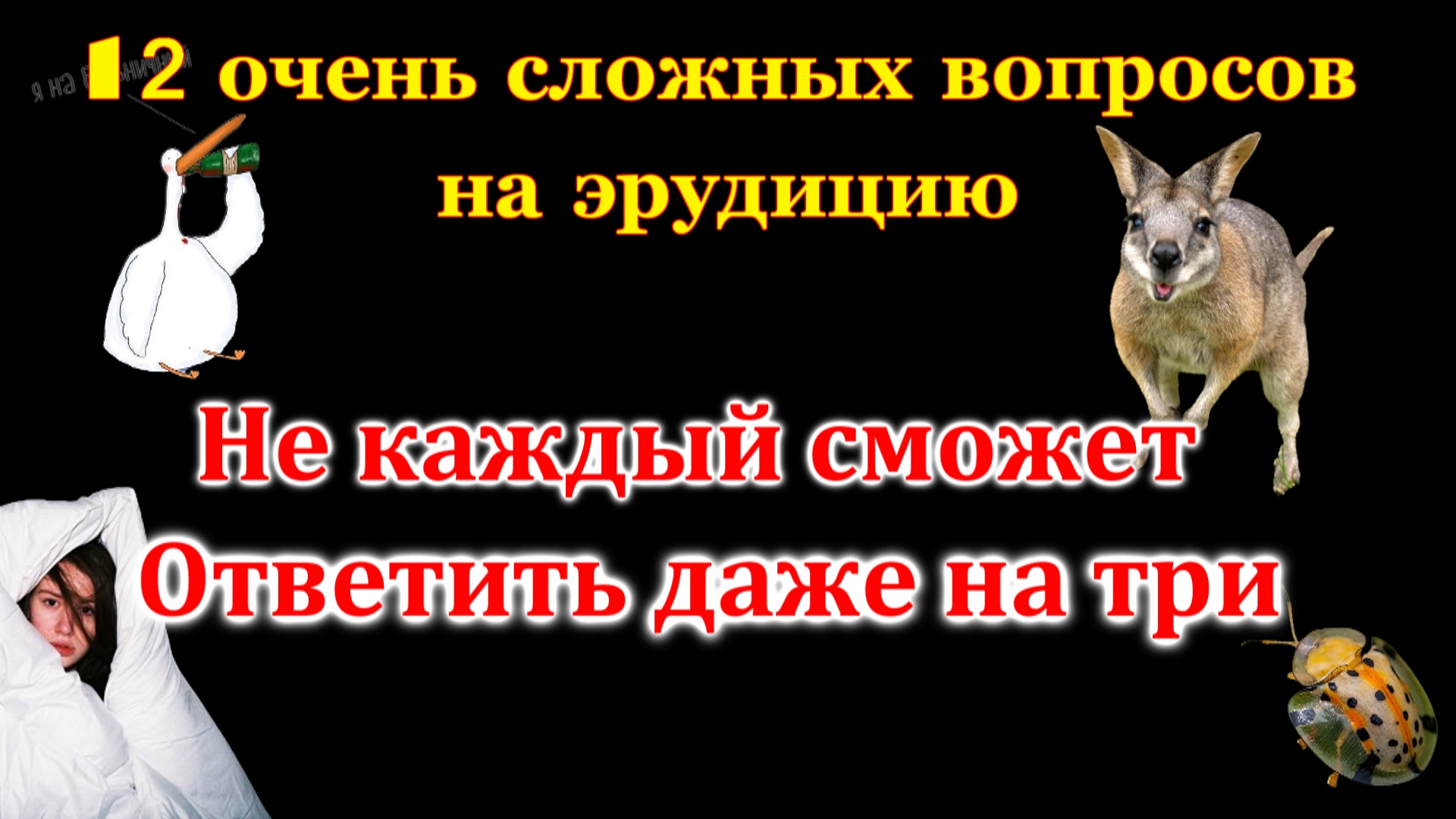 ТЕСТ Для Прокачки Мозга. Проверь насколько вы эрудированы