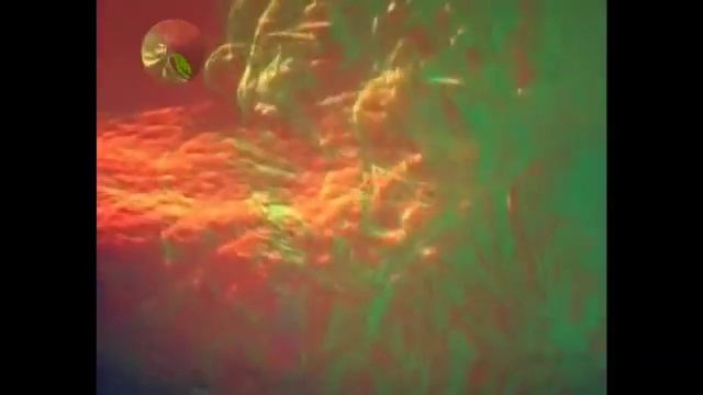 головоногі молюски смотреть онлайн