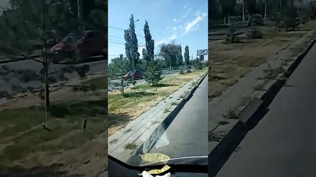 Город Волгоград. Озеленение проспекта Ленина смотреть онлайн