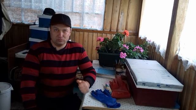Перчатки пчеловода. Защита рук при работе на пасеке. смотреть онлайн