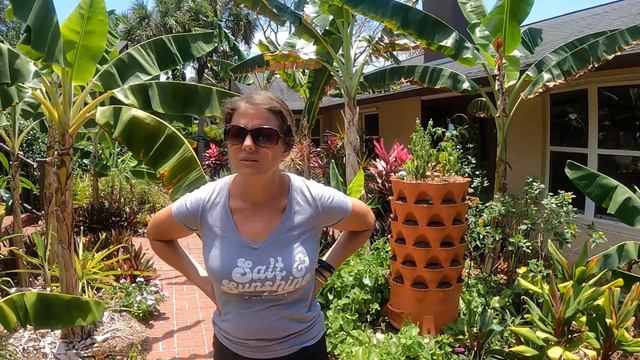 Planting FREE Plants we find Weekly! | The Planting Pirates Episode #43 смотреть онлайн