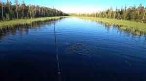 Рыбалка в Карелии 2020. Топозеро. Часть 3. ТРОФЕЙНАЯ КУМЖА! Готовим ЩУКА-БУРГЕРЫ! СУШИ ИЗ КУМЖИ!