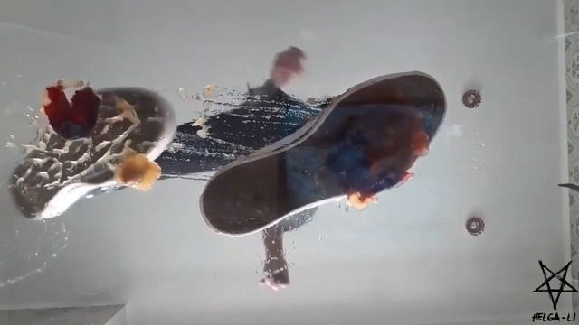 Black Converse Crush Fruit Under Glass (by Helga Li) смотреть онлайн