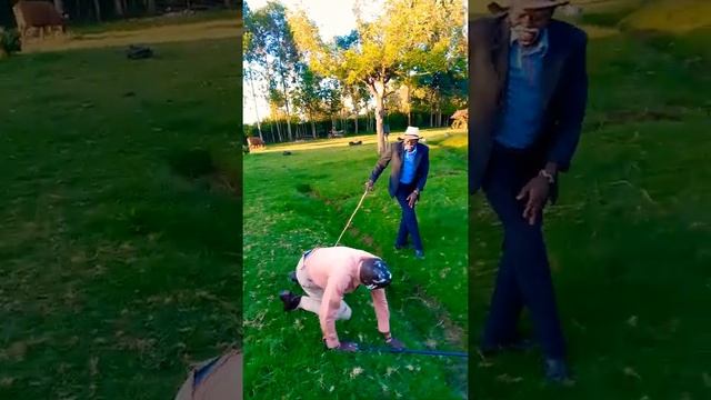 bandiat 6213 смотреть онлайн