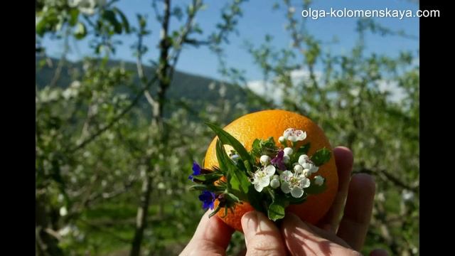 Фестиваль Море счастья в Бетте май 2015 смотреть онлайн