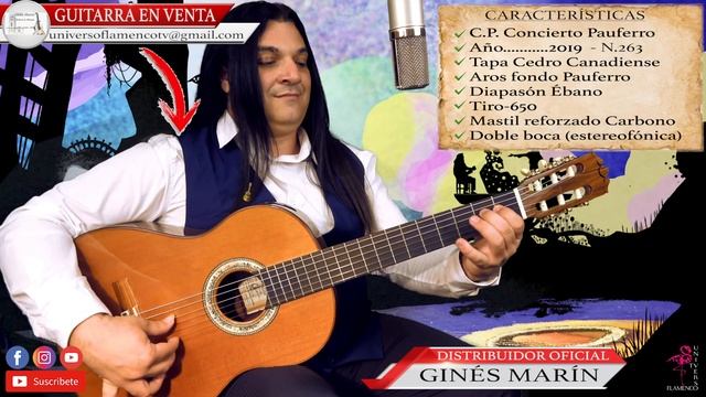 COLOMBIANAS TUTORIAL INTERACTIVO CON TABLATURA FÁCIL GUITARRA FLAMENCA PEPE MARTINEZ ATRÉVETE!!! смотреть онлайн