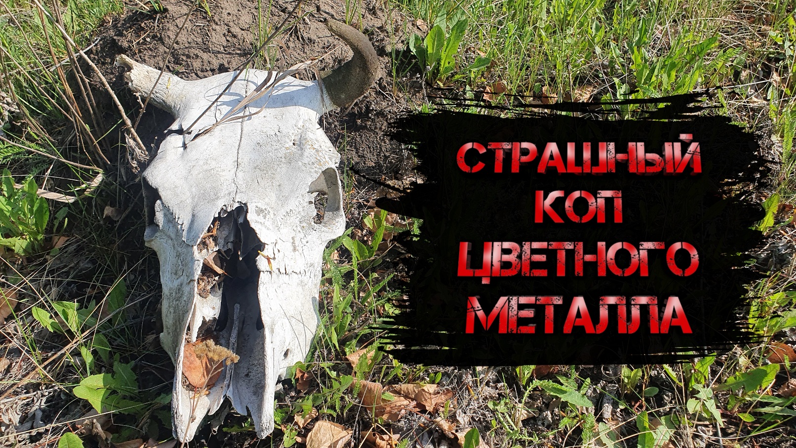 СТРАШНЫЙ КОП ЦВЕТНОГО МЕТАЛЛА. Металлокоп. смотреть онлайн