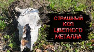 СТРАШНЫЙ КОП ЦВЕТНОГО МЕТАЛЛА. Металлокоп.