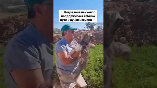 Помощь психолога