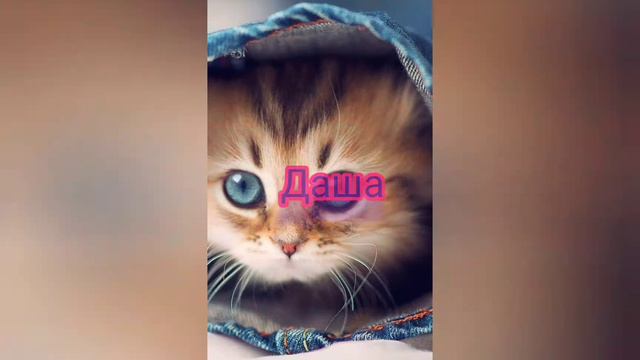 имя-кот😽 смотреть онлайн