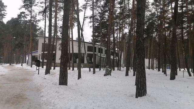22. Предновогодний ВЛОГ. Парк Дракино. Мало вышивки, много отдыха смотреть онлайн