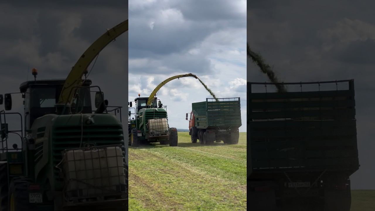 Системы внесения консервантов смотреть онлайн