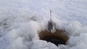 Зимняя рыбалка на реке Волхов. Часть 2. Рыбалка в +3 в Ленинградской обл., декабрь 2022