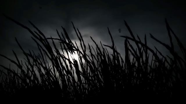 1 HORA de Historias de TERROR de CONDUCTORES de UBER Vol. 1 l 7 PERTURBADORAS HISTORIAS смотреть онлайн