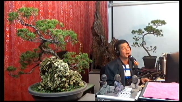 安平追想曲 смотреть онлайн