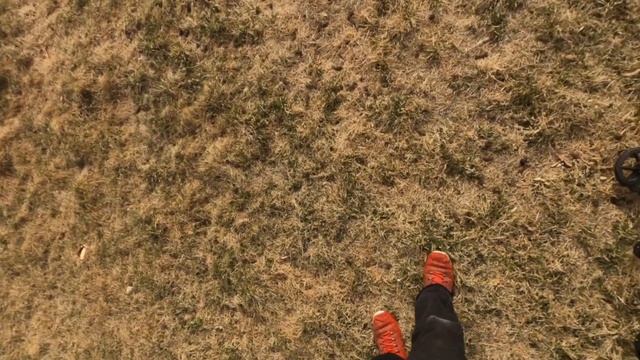 Metal Detecting In Colorado Ground Minelab X-TERRA PRO - SNIPER COIL смотреть онлайн