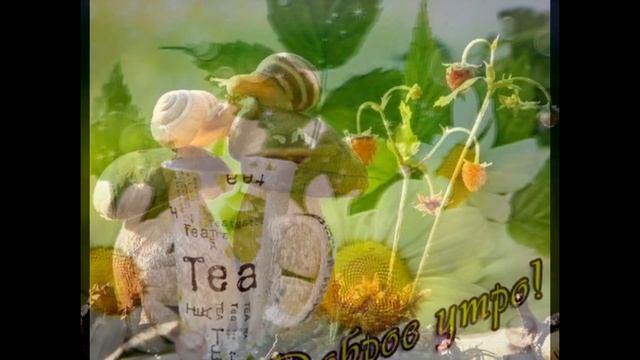 Хорошего настроения на весь день! Поздравление. смотреть онлайн