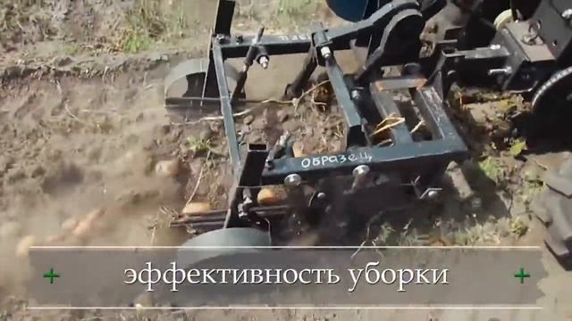 Картофелекопалка Типы и критерии выбора смотреть онлайн