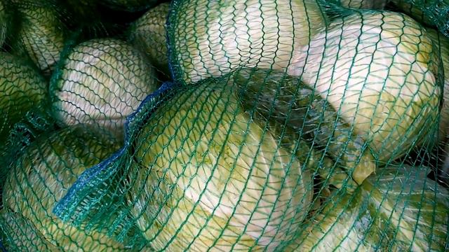 Ціни на ринку Великі Копані. 11 серпня. 15.30. смотреть онлайн