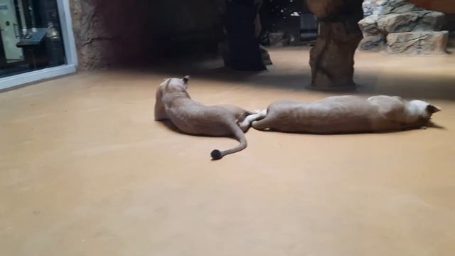 Казань 2021г 1 ый день?? смотреть онлайн