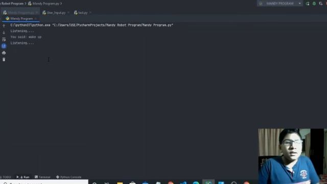 Eric Codes | My AI (desktop assistant) Mandy смотреть онлайн