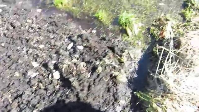 Наша дача на 13.04.18 г. Сажаю розы, сею астры и мою теплицу. смотреть онлайн
