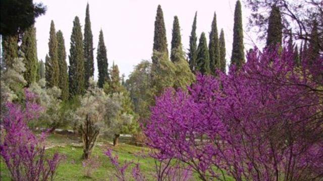 Абхазия в мае смотреть онлайн