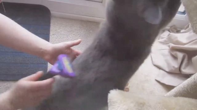 ЛУЧШИЕ ВЕЩИ С АЛИЭКСПРЕСС / 25 ВЕЩЕЙ С ALIEXPRESS, ОТ КОТОРЫХ ТЫ ОФИГЕЕШЬ смотреть онлайн