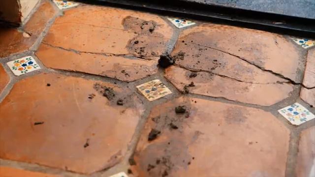 Go Getter 2 Unit 6.2 She asked me to babysit Part 1 смотреть онлайн