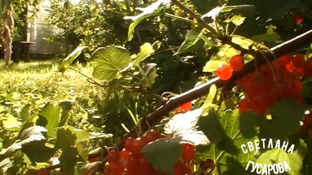 Август смотреть онлайн