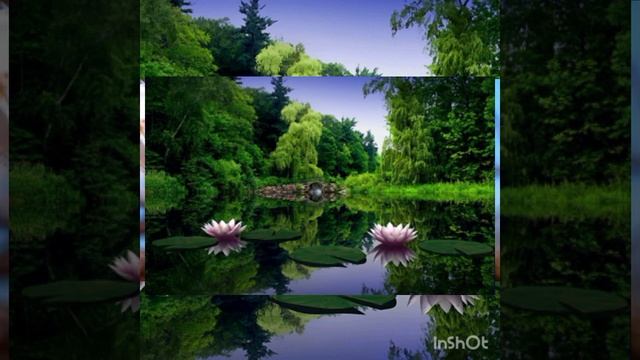 Асапни тинчлантради Mp3 #музыка когда вы устал ??#музыка для сна Дам олиш #музыка для души