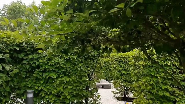 Москва. ВДНХ. Прогулка по Зеленому лабиринту смотреть онлайн