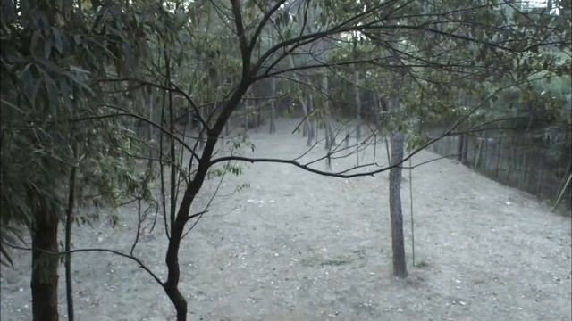 ⚔️ 【功夫電影】日軍追殺車夫，沒想到他是功夫高手，一拳打倒追擊的日本武士！⚔️#kungfu #功夫大師 #action #抗戰 歡迎訂閱温柔杀手 смотреть онлайн